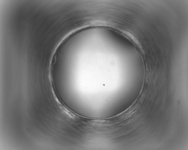 X0000074301342200609222325