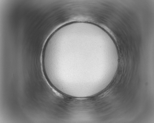 X0000074301343200609222325