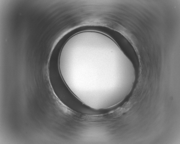 X0000074301344200609222325