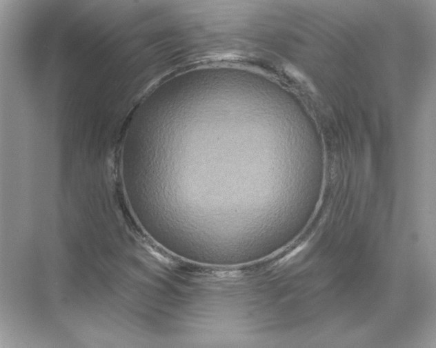 X0000074301353200609222324