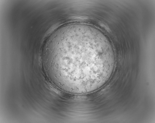 X0000074301354200609222324