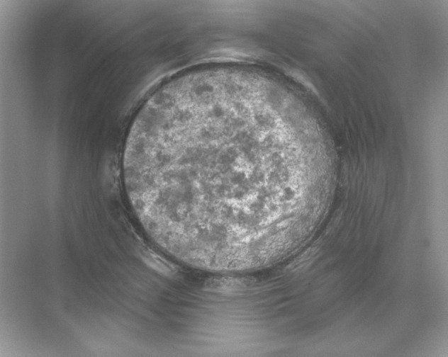 X0000074301355200609222324