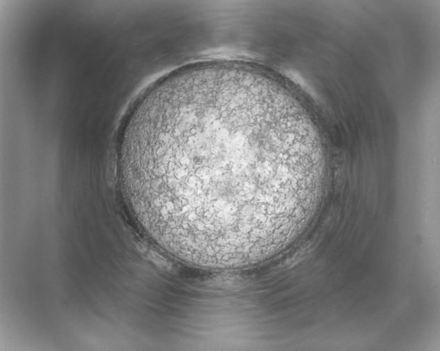 X0000074301358200609222324