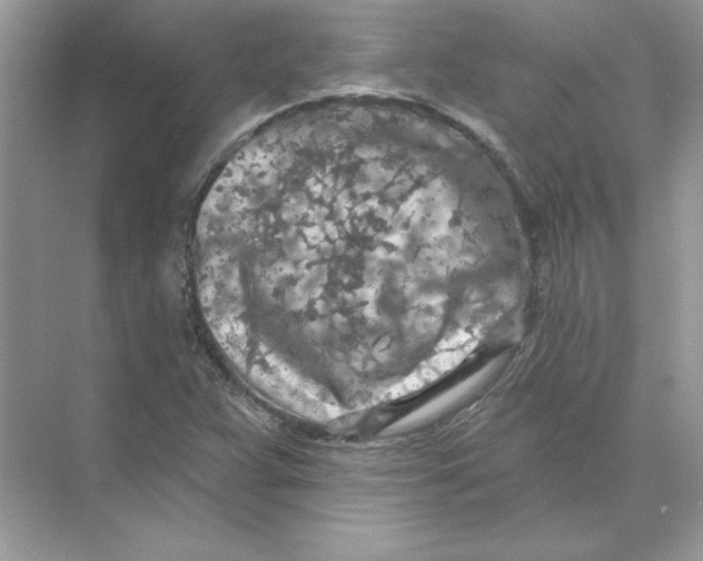 X0000074301359200609222324