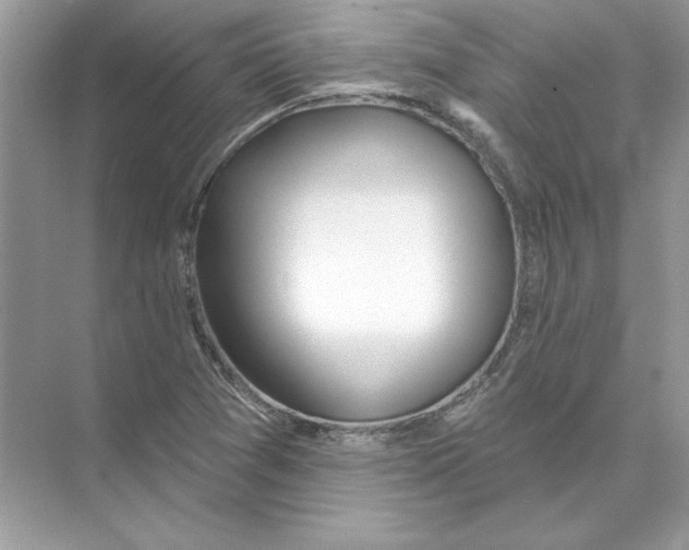 X0000074301361200609222324