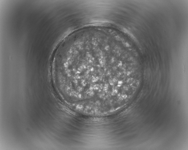 X0000074301362200609222324