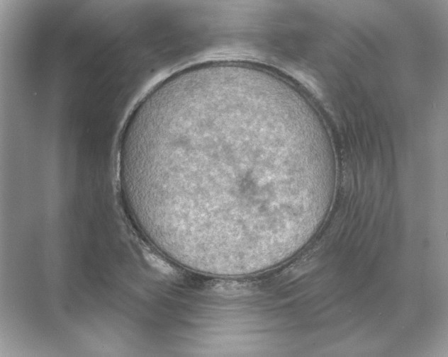 X0000074301366200609222324