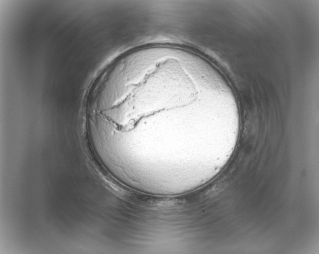 X0000074301367200609222324