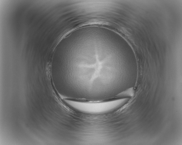 X0000074301369200609222324