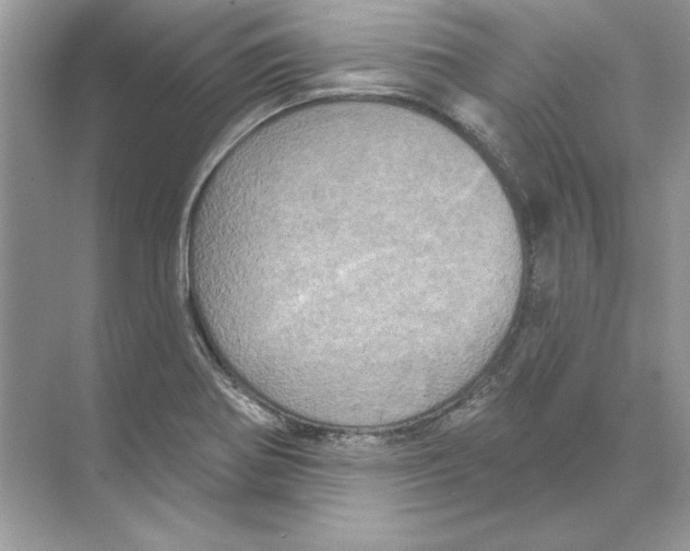 X0000074301370200609222324