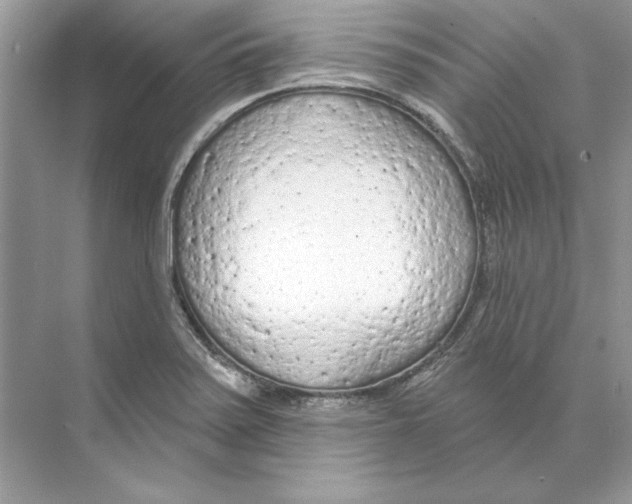 X0000074301371200609222324