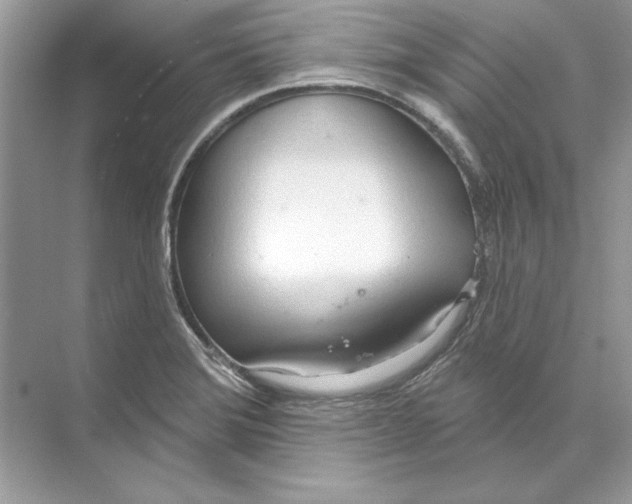 X0000074301372200609222324