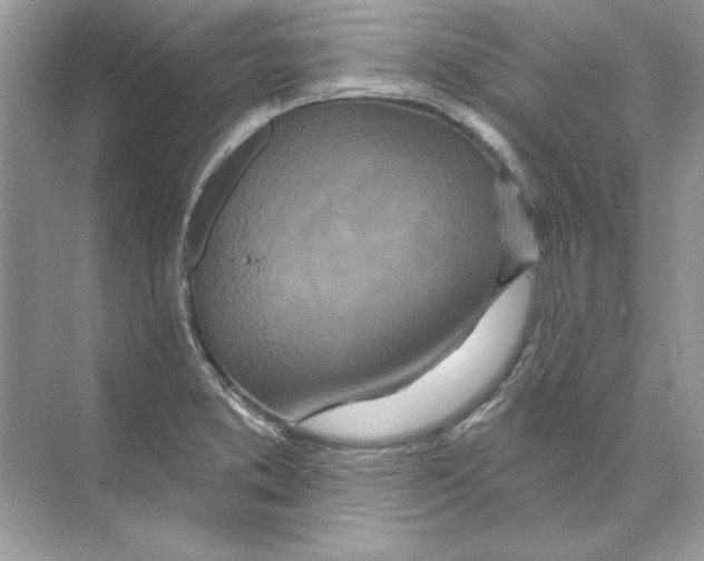 X0000074301373200609222324