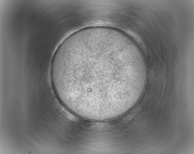 X0000074301374200609222324