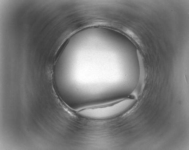 X0000074301377200609222324