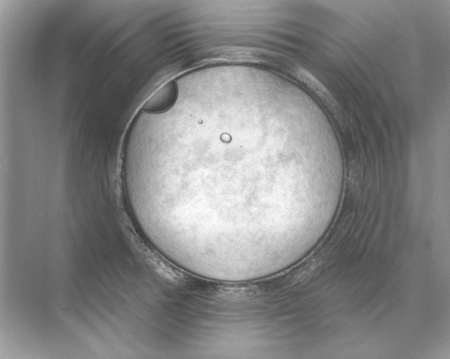 X0000074301378200609222324