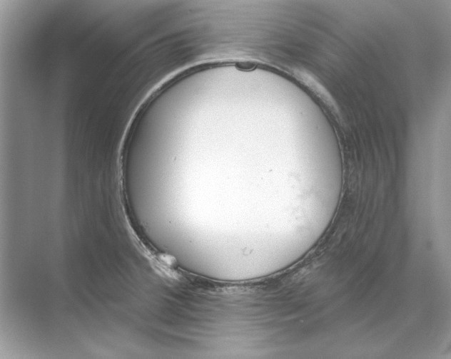 X0000074301380200609222324