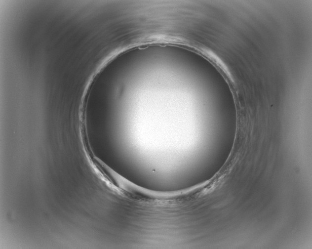 X0000074301381200609222324