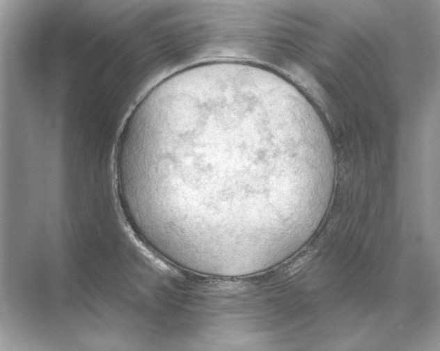 X0000074301382200609222324