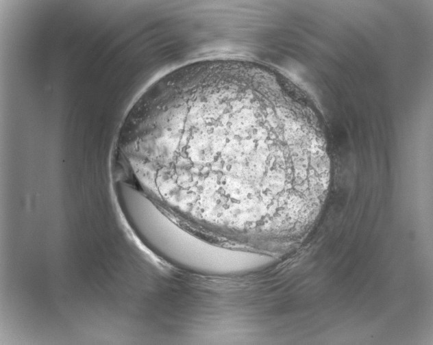 X0000074301383200609222324