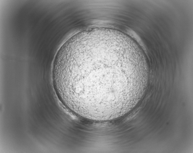 X0000074301386200609222323