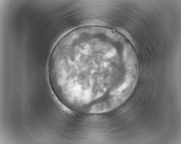 X0000074301387200609222323