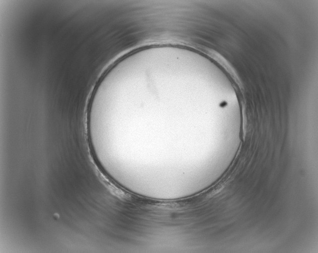 X0000074301388200609222323