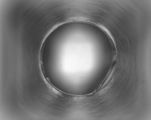 X0000074301389200609222323