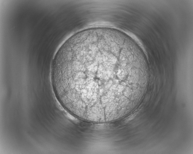 X0000074301390200609222323