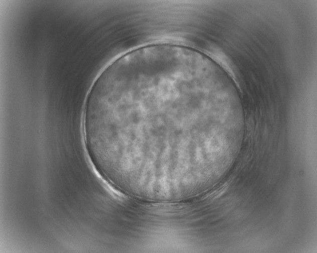 X0000074301391200609222323