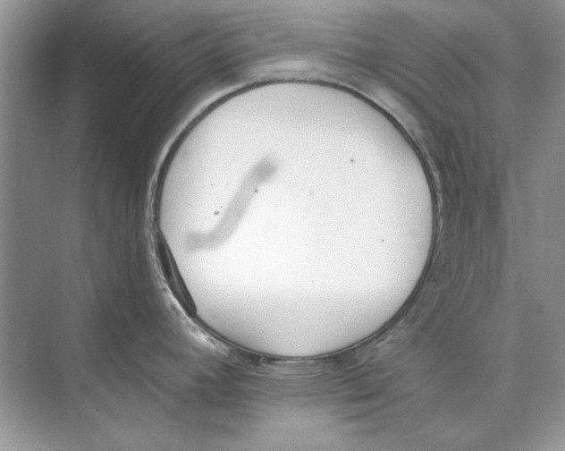 X0000074301392200609222323