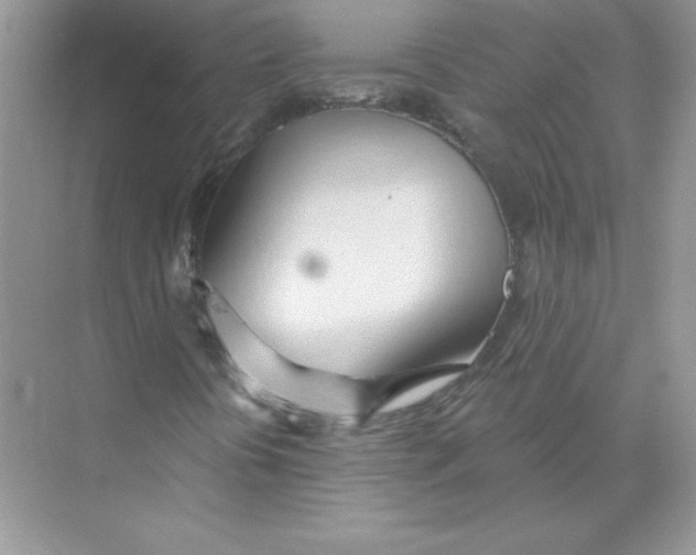 X0000074301394200609222323