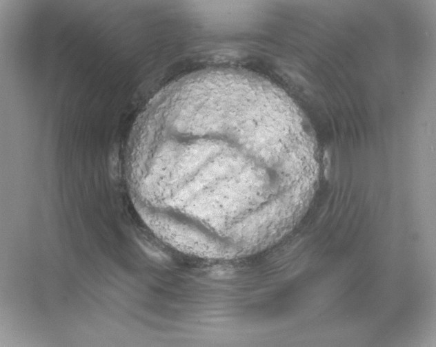 X0000074301395200609222323