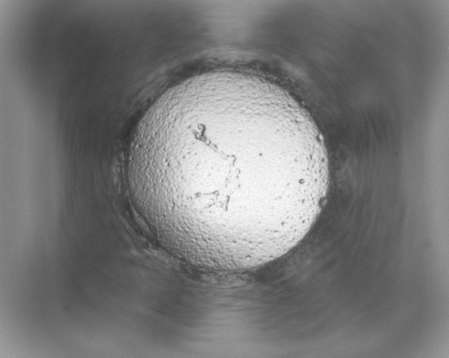 X0000074301397200609222323