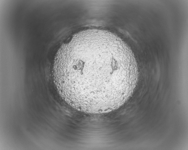 X0000074301399200609222323