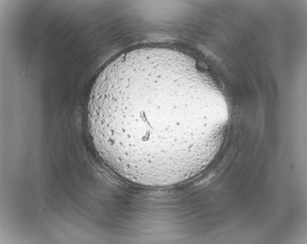 X0000074301401200609222323