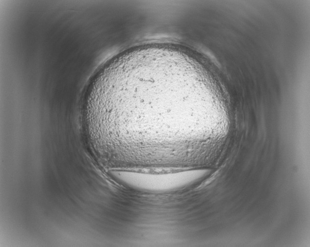 X0000074301405200609222323