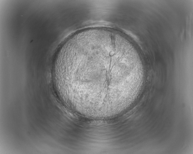 X0000074301407200609222323