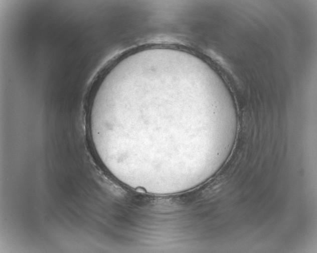 X0000074301408200609222323