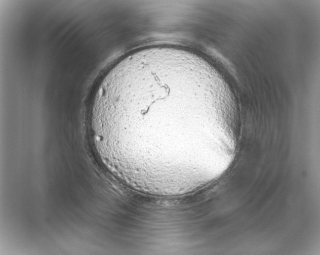 X0000074301411200609222323