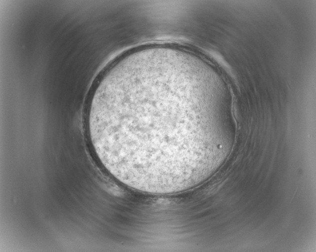 X0000074301412200609222323