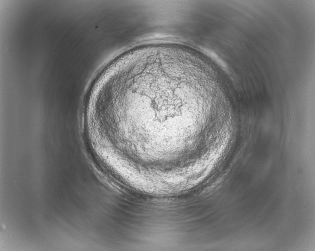 X0000074301413200609222323