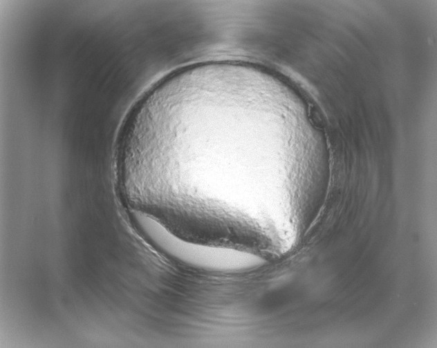 X0000074301415200609222323