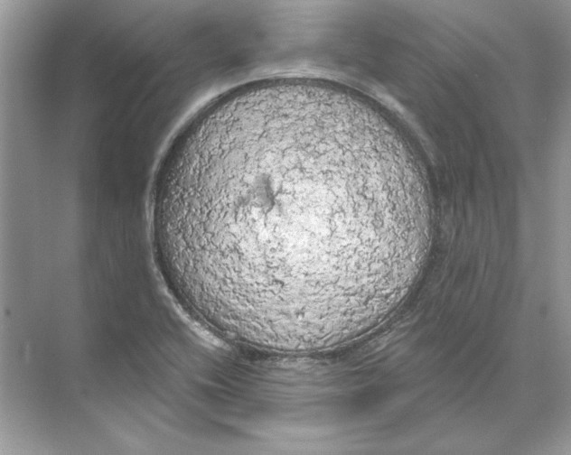 X0000074301416200609222323