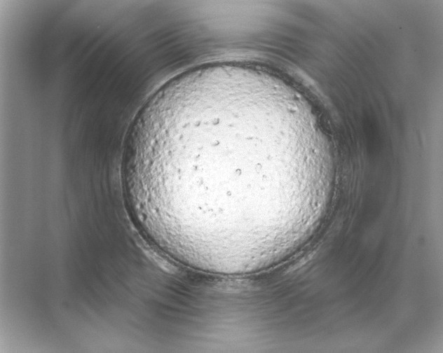 X0000074301417200609222323