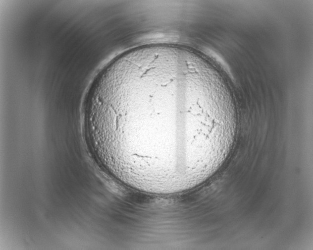 X0000074301419200609222323