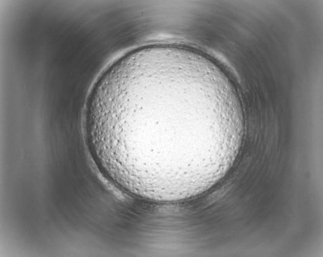 X0000074301421200609222323