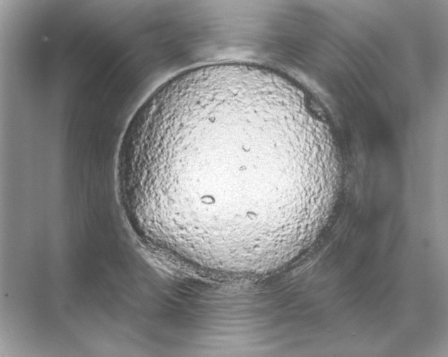 X0000074301423200609222323