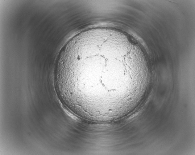 X0000074301425200609222323