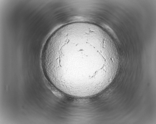 X0000074301427200609222323